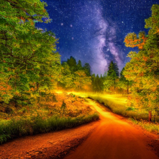 Das flüsternde Waldlicht[ 8 min]