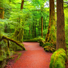 Kai und das glitzernde Abenteuer[ 6 min]