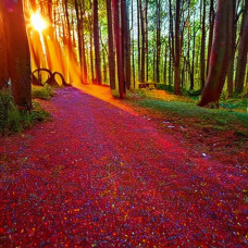 Der leise Mondschimmer [ca. 7 min]