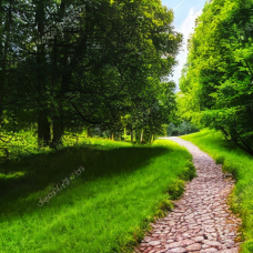 Das geheimnisvolle Kicherholz [ca. 7 min]